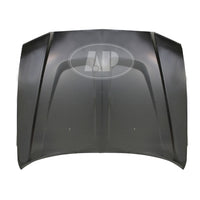 HOOD STEEL CAPA