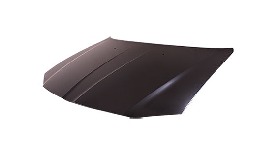 HOOD ALUMINUM CAPA