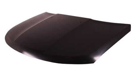 HOOD STEEL CAPA