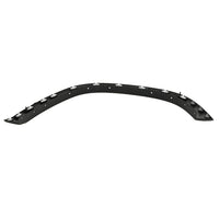 WHEEL ARCH TRIM FR LH PTM