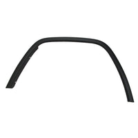 WHEEL ARCH TRIM FR LH PTM