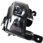 HEAD LAMP LH HALOGEN W/BLACK BEZEL — photo 2