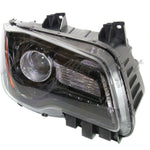 HEAD LAMP RH HALOGEN BLACK BEZEL HQ — photo 2