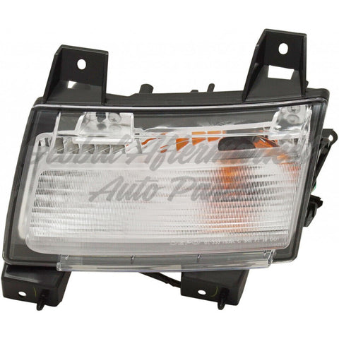 SIGNAL LAMP LH W/O DRL CAPA