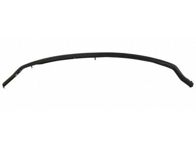 BUMPER STEP PAD FR