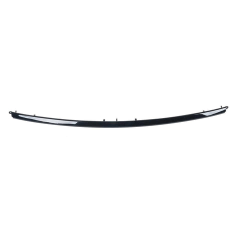 BUMPER MOLDING FR CENTER CHROME