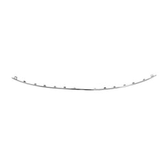 BUMPER MOLDING RR CHROME W/O SENSOR