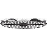 GRILLE CHROME/BLACK W/BLACK FRAME — photo 4