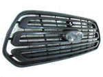 GRILLE BLACK W/O CHROME — photo 3