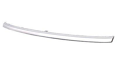 GRILLE MOULDING CENTER CHROME