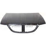 HOOD ALUMINUM CAPA — photo 2