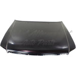 HOOD ALUMINUM CAPA — photo 2