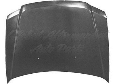 HOOD STEEL CAPA