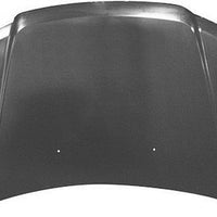 HOOD STEEL CAPA