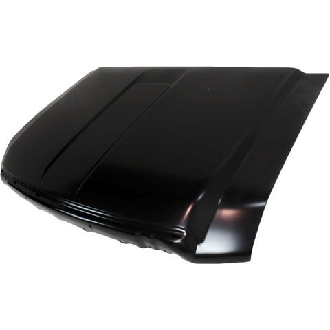 HOOD STEEL CAPA