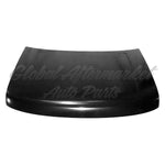 HOOD CAPA — photo 1