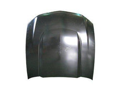 HOOD ALUMINUM CAPA