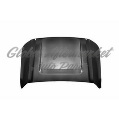 HOOD STEEL CAPA