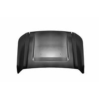 HOOD STEEL CAPA