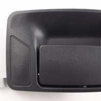 DOOR HANDLE RR LH OUTER