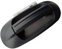 DOOR HANDLE RR RH OUTER