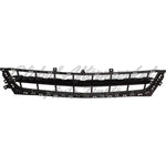 GRILLE LOWER MATTE DARK GRAY W/CHROME MOLDING LS/LT MODEL — photo 4