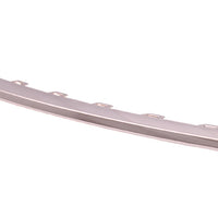 BUMPER MOULDING FR CHROME
