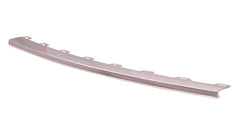 BUMPER MOULDING FR CHROME
