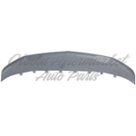 VALANCE FR SILVER GRAY MATTE FINISH CAPA — photo 1