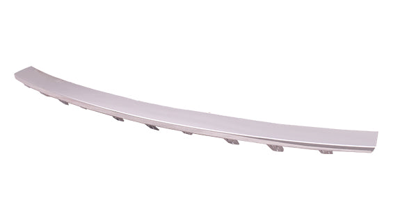 BUMPER MOULDING RR CHROME