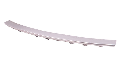 BUMPER MOULDING RR CHROME