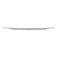 BUMPER MOLDING RR CHROME