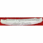 ABSORBER RR — photo 4