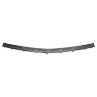 BUMPER STEP PAD RR CHROME