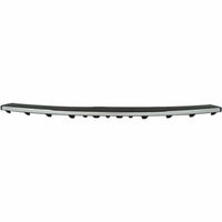 BUMPER STEP PAD RR W/CHROME TRIM