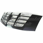GRILLE CHROME W/BLACK FRAME — photo 2