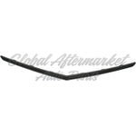 GRILLE LOWER MOULDING MATTE-BLACK SS MODEL — photo 4
