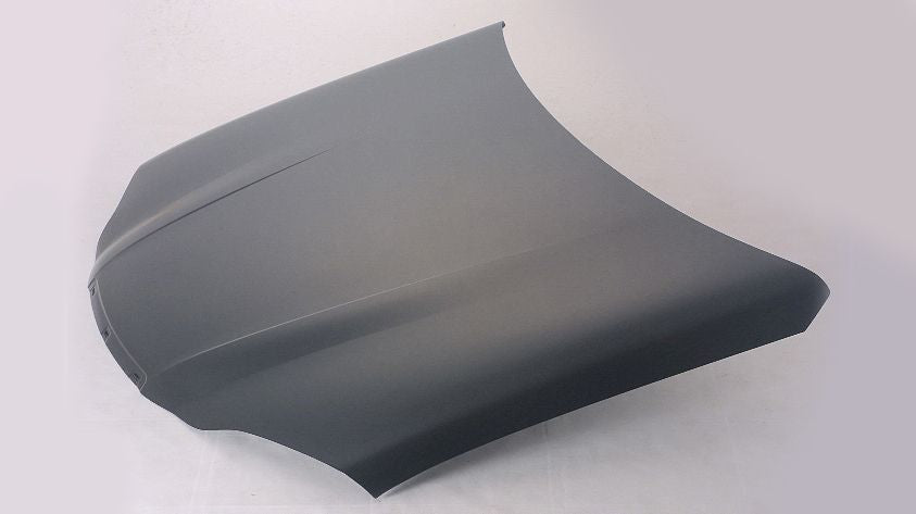 HOOD STEEL CAPA