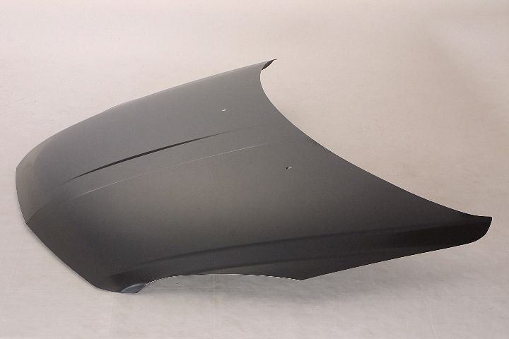 HOOD STEEL CAPA