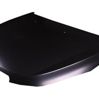 HOOD STEEL CAPA