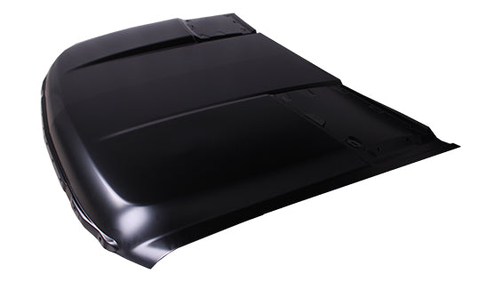 HOOD STEEL CAPA