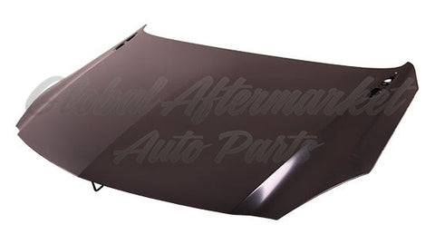HOOD ALUMINUM CAPA