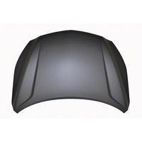 HOOD ALUMINUM CAPA