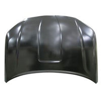 HOOD STEEL
