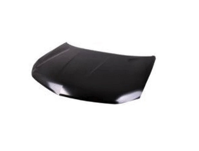 HOOD STEEL CAPA