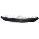 GRILLE LOWER — photo 4