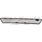 GRILLE LOWER — photo 5