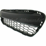 GRILLE LOWER — photo 2