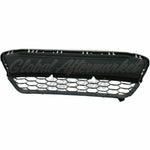 GRILLE LOWER — photo 5