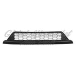 GRILLE LOWER — photo 1
